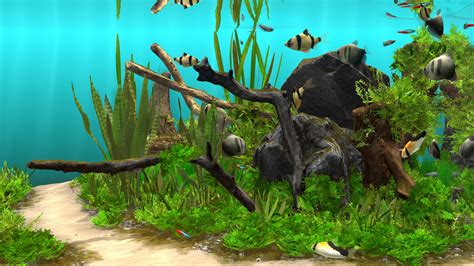 fish tank simulator game.